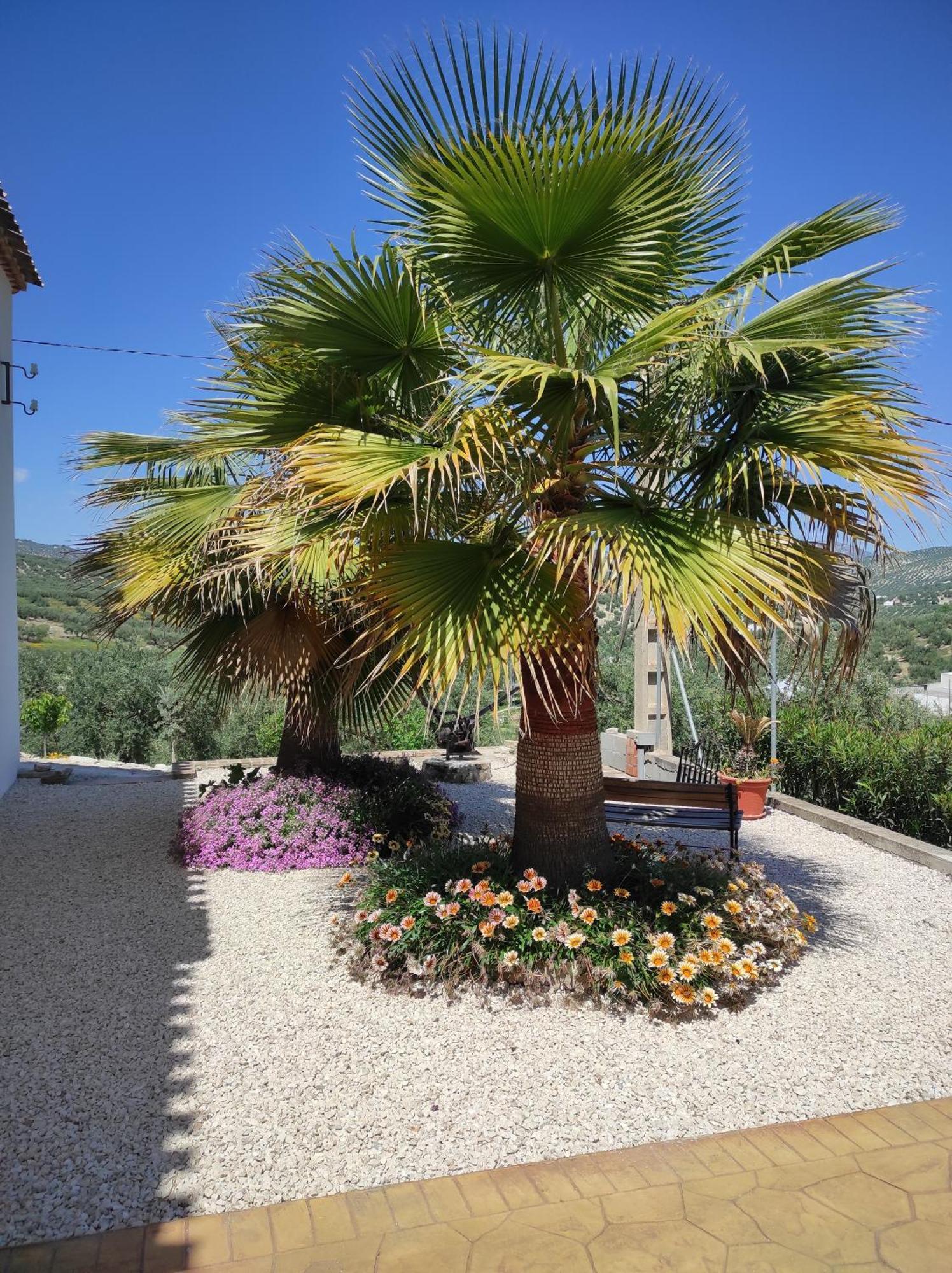 Las Marrojas, Secluded Tudor Country Cottage Algarinejo Zewnętrze zdjęcie